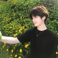 จิน