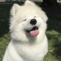 ชาไ​ม​ร์​(นางเอก)​