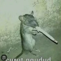 random (curut ngudud)