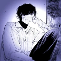 เฟิงฉิน