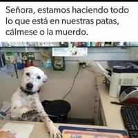 Creador@_💥