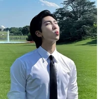 kim namjoon(padrasto do hobi)