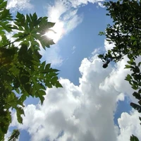 MUSIK ( UNTUK LAGU MEMBACA )