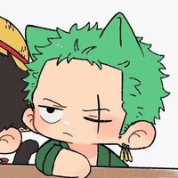 𝐙𝐎𝐑𝐎?!!
