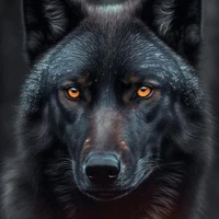❄️ALPHA🥀