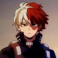 🔥~Todoroki Shoto~❄️