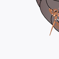 กมลชนก จินดามณี