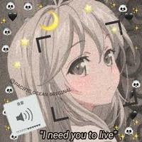 _senpai_kim